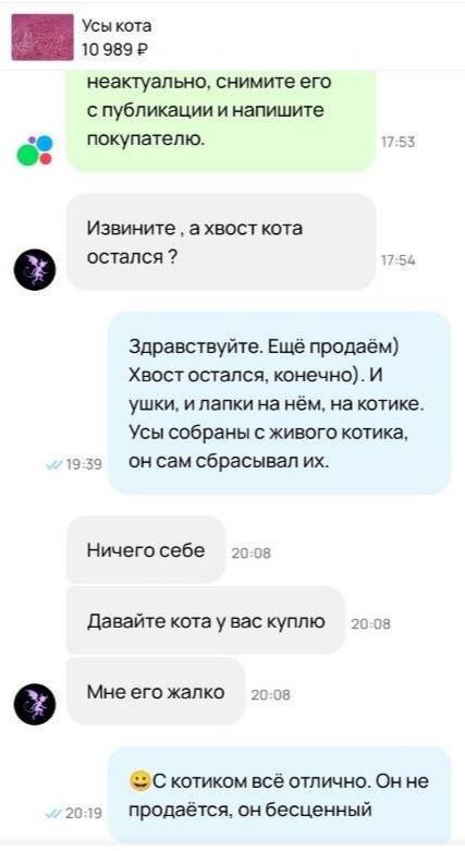 Кошачьи усы за 11 тысяч. «Продаю 45 кошачьих усов за 10 989 рублей!» — такое объявление появилось на платформе «Авито» и вызвало волну удивления и возмущения у любителей животных Кошачьи усы за 11 тысяч. «Продаю 45 кошачьих усов за 10 989 рублей!» — такое объявление появилось на платформе «Авито» и вызвало волну удивления и возмущения у любителей животных
