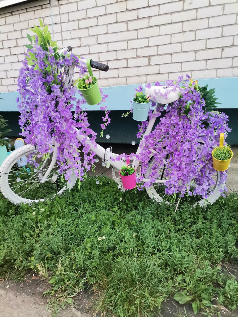 Двор в селе Чигири претендует на звание самого лучшего в России Двор в селе Чигири претендует на звание самого лучшего в России