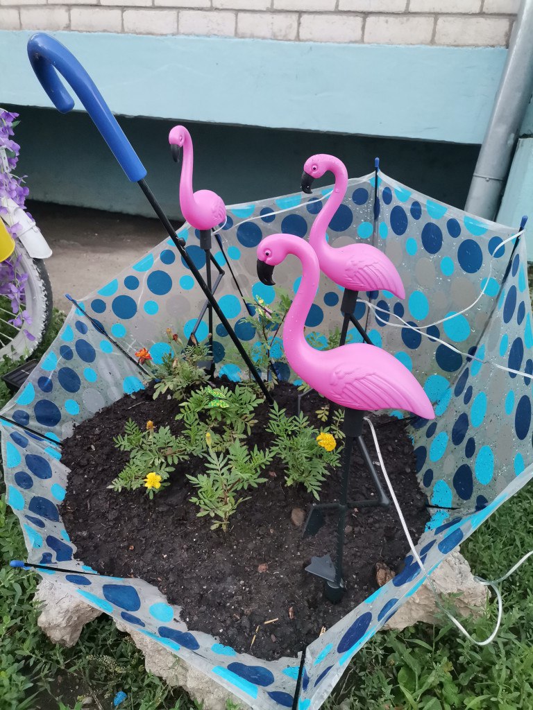 Двор в селе Чигири претендует на звание самого лучшего в России Двор в селе Чигири претендует на звание самого лучшего в России