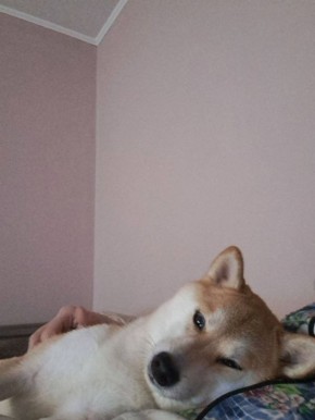 «Ну, предположим, что я кошка... утренняя»