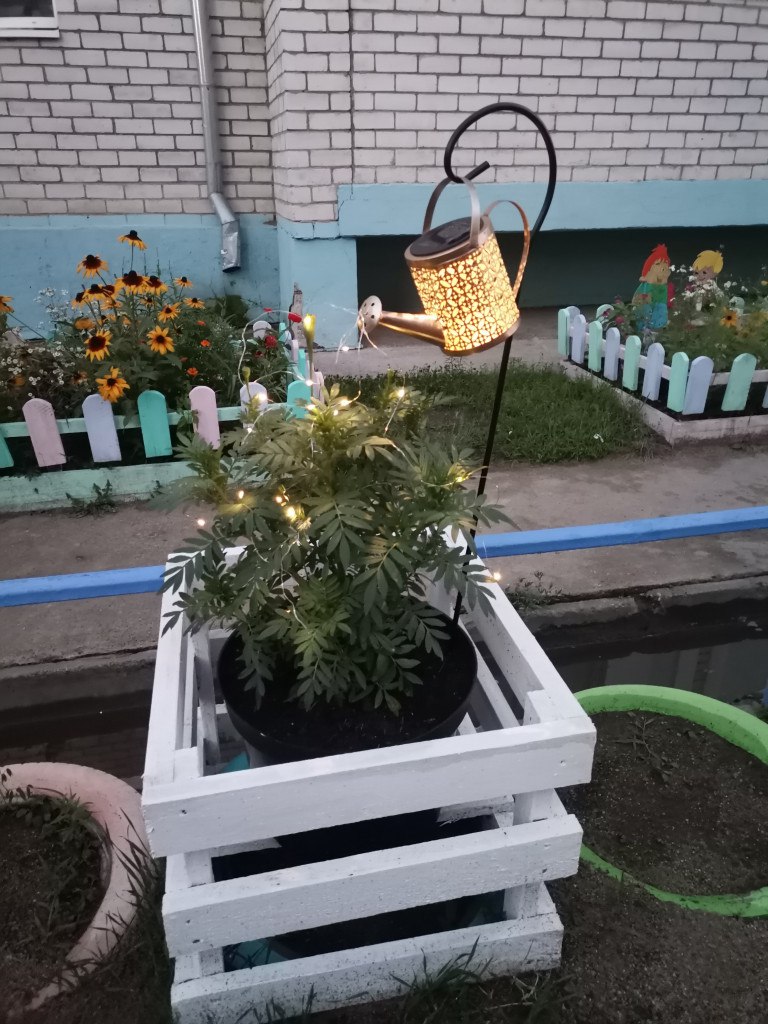 Двор в селе Чигири претендует на звание самого лучшего в России Двор в селе Чигири претендует на звание самого лучшего в России