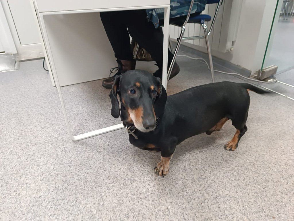 Ожившая история и цифровое искусство: благовещенская «Чеховка» отпраздновала 85-летний юбилей Ожившая история и цифровое искусство: благовещенская «Чеховка» отпраздновала 85-летний юбилей