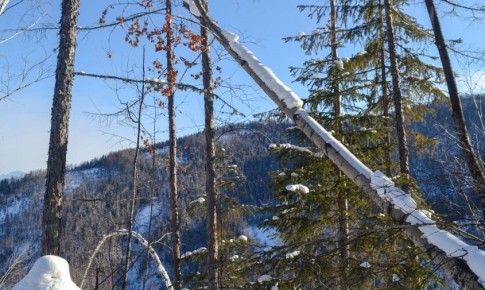 Прогноз погоды в Амурской области на 15 ноября
