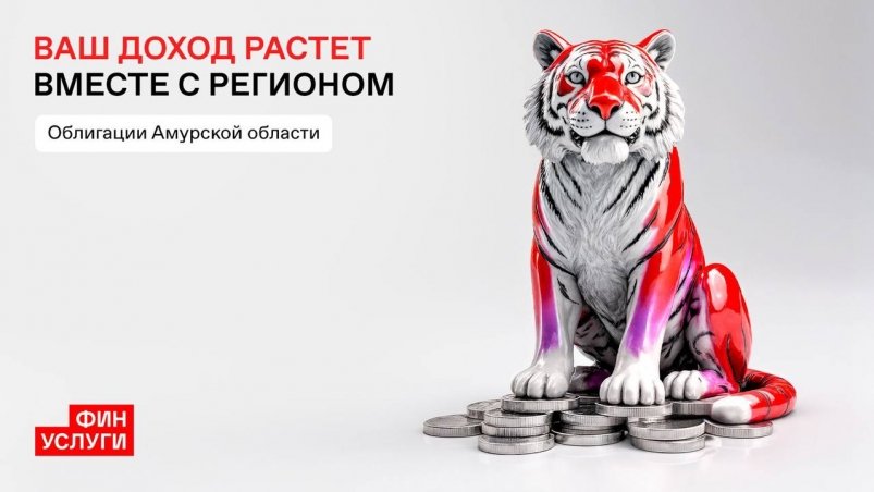 Амурская область развивает финансовую культуру и внедряет современные инструменты для граждан