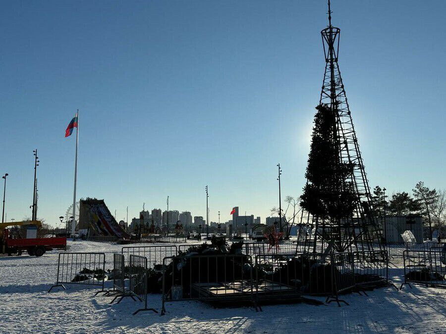 В амурской столице начали монтировать 20-метровую новогоднюю ель на площади Ленина