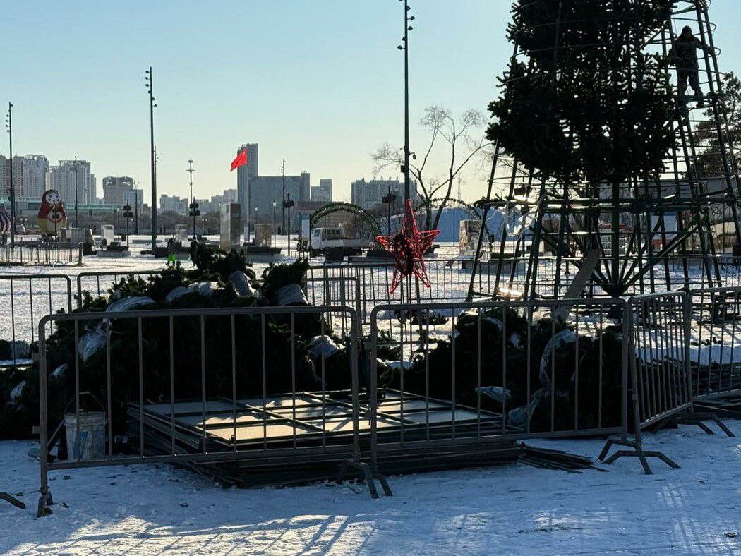 В амурской столице начали монтировать 20-метровую новогоднюю ель на площади Ленина В амурской столице начали монтировать 20-метровую новогоднюю ель на площади Ленина