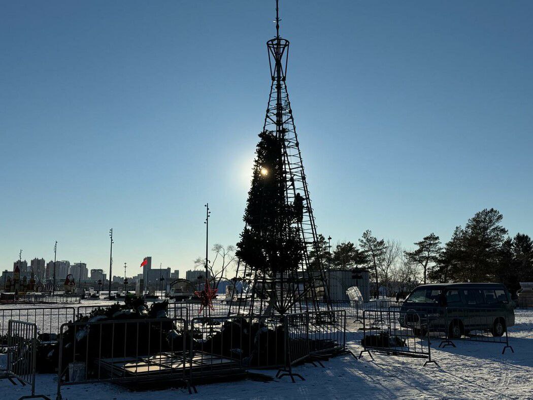 В амурской столице начали монтировать 20-метровую новогоднюю ель на площади Ленина В амурской столице начали монтировать 20-метровую новогоднюю ель на площади Ленина