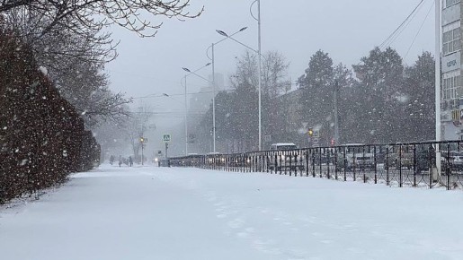 Режим повышенной готовности введен в Благовещенском округе
