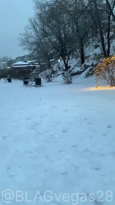 На дворе только середина ноября, а BLAGовещенск уже погружается в предновогодний вайб