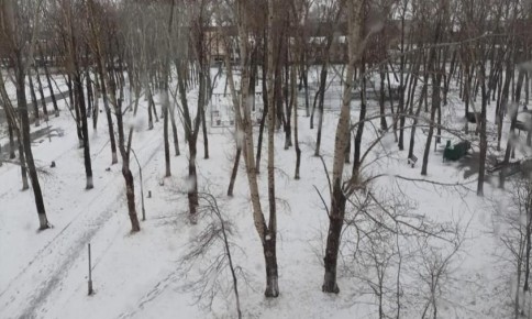 Прогноз погоды в Амурской области на 17 ноября