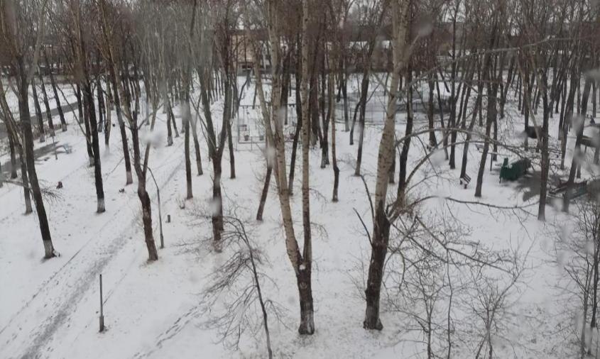 Прогноз погоды в Амурской области на 17 ноября