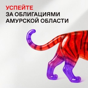 Благовещенцам предлагают заработать на развитии области