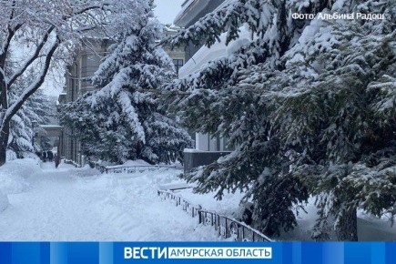 До 28 °С по крайним районам Приамурья: прогноз погоды на 17 ноября
