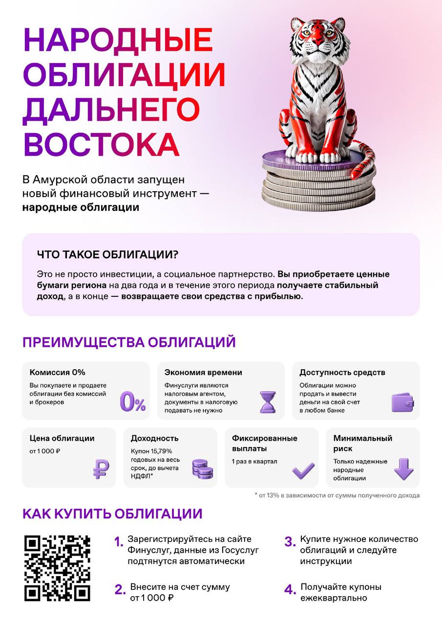 Благовещенцам предлагают заработать на развитии области Благовещенцам предлагают заработать на развитии области