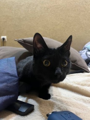 Быстрее скорости света только скорость, с которой пролетают выходные