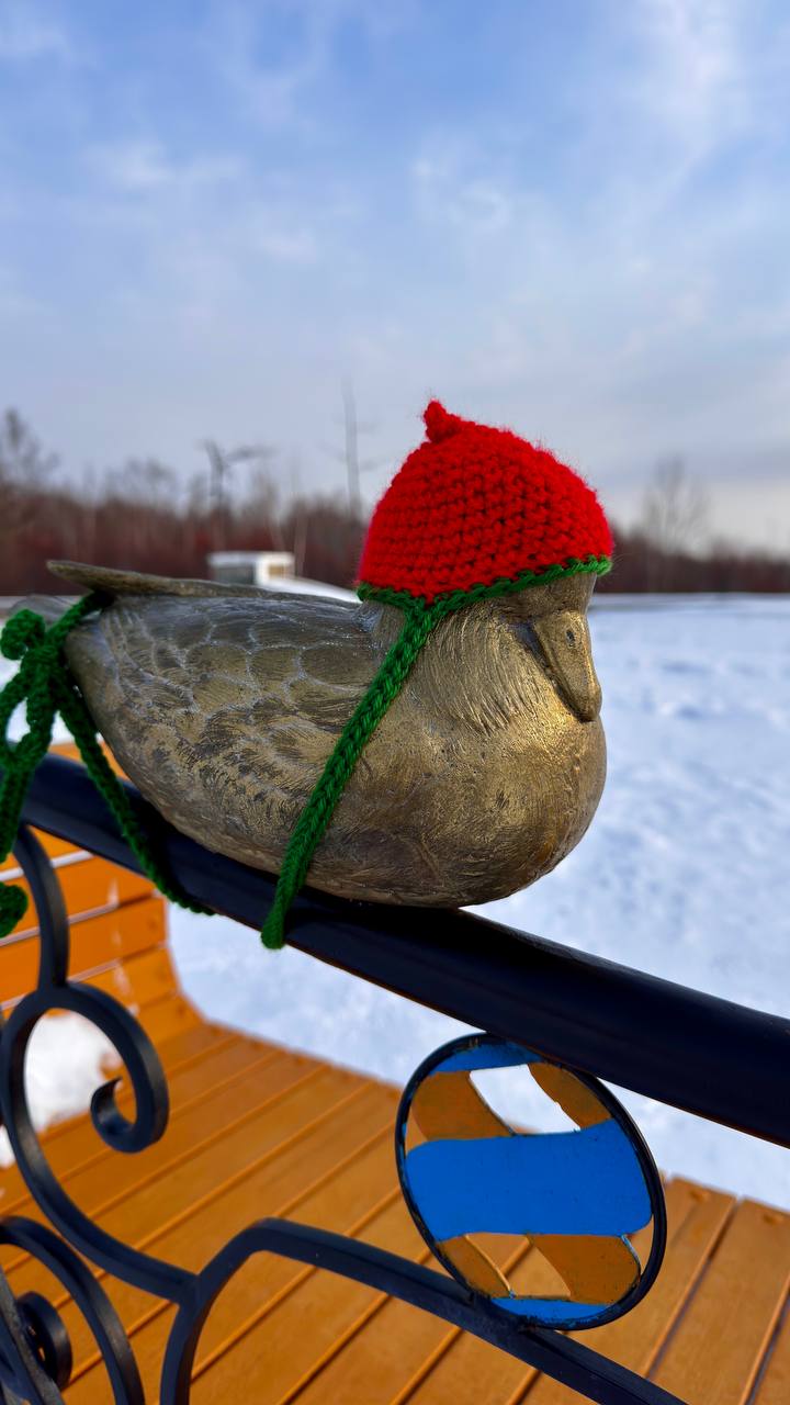 К зиме готовы!. Бронзовые утки-мандаринки у Талаканского маяка встретили первые холода во всеоружии! Местные рукодельницы позаботились о пернатых символах Талакана и связали для них тёплые, яркие шапочки К зиме готовы!. Бронзовые утки-мандаринки у Талаканского маяка встретили первые холода во всеоружии! Местные рукодельницы позаботились о пернатых символах Талакана и связали для них тёплые, яркие шапочки