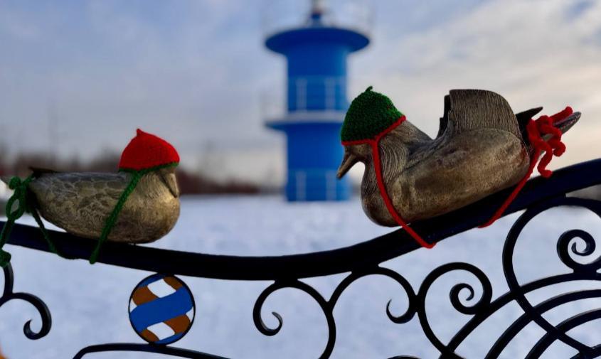 К зиме готовы: в Талакане бронзовым уточкам-мандаринкам связали шапки