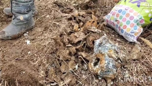 Груда металла: в Приморье откопали бомбардировщик, разбившийся в сентябре 1941 года