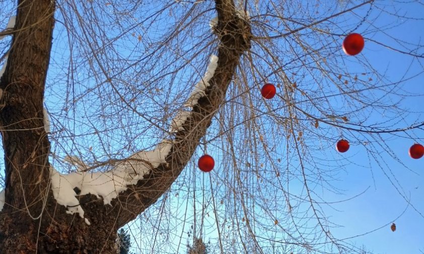 Прогноз погоды в Амурской области на 18 ноября (ПАЗЛ):