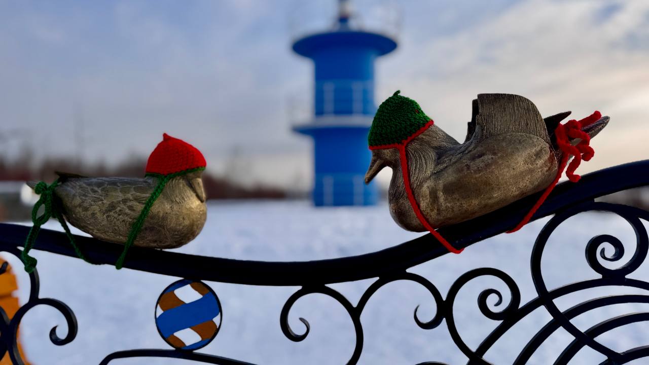 К зиме готовы!. Бронзовые утки-мандаринки у Талаканского маяка встретили первые холода во всеоружии! Местные рукодельницы позаботились о пернатых символах Талакана и связали для них тёплые, яркие шапочки К зиме готовы!. Бронзовые утки-мандаринки у Талаканского маяка встретили первые холода во всеоружии! Местные рукодельницы позаботились о пернатых символах Талакана и связали для них тёплые, яркие шапочки