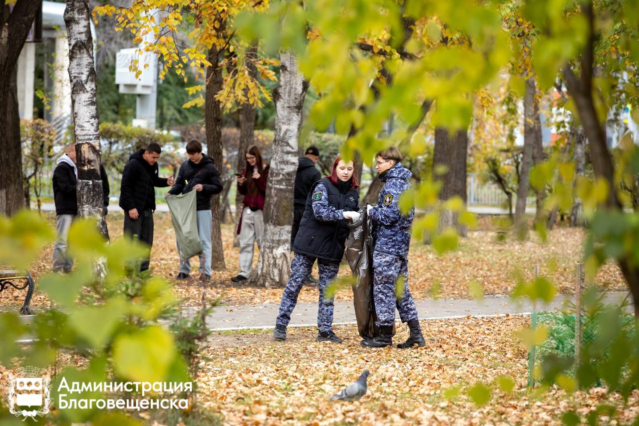 Почти десять тысяч участников и 510 тонн мусора: в Благовещенске подвели итоги осеннего этапа «Города берегу» Почти десять тысяч участников и 510 тонн мусора: в Благовещенске подвели итоги осеннего этапа «Города берегу»