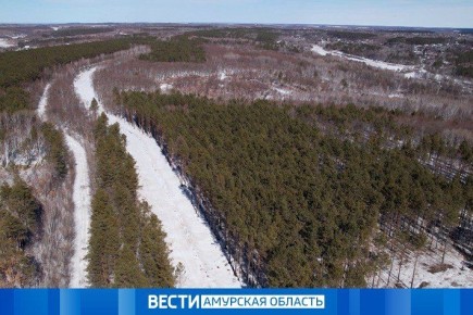 Ночью местами по северо-западу региона пройдет небольшой снег