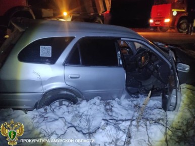 Трагедия на трассе: в ДТП в Тамбовском округе погибла женщина и пострадал её несовершеннолетний сын