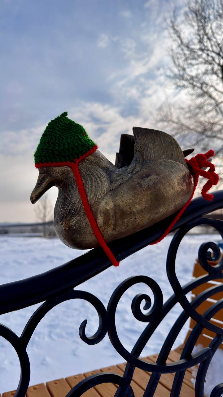 К зиме готовы!. Бронзовые утки-мандаринки у Талаканского маяка встретили первые холода во всеоружии! Местные рукодельницы позаботились о пернатых символах Талакана и связали для них тёплые, яркие шапочки К зиме готовы!. Бронзовые утки-мандаринки у Талаканского маяка встретили первые холода во всеоружии! Местные рукодельницы позаботились о пернатых символах Талакана и связали для них тёплые, яркие шапочки