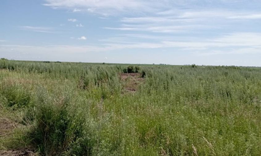 Власти Тамбовского округа убрали стихийную свалку на более чем 3 000 квадратных метров