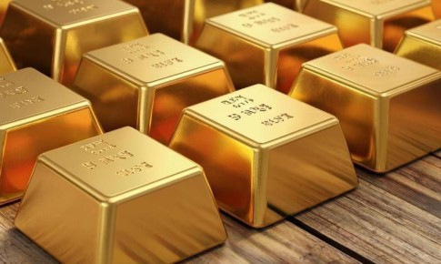 В Зее мужчина заплатил 300 000 рублей за незаконное хранение десяти слитков золота