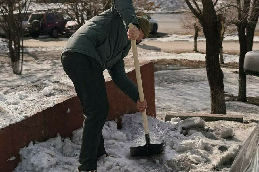 Глава Рособрнадзора Анзор Музаев попросил родителей не пугать детей работой дворника