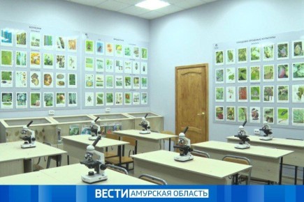 Ученые ДальГАУ создают уникальный биофунгицид для защиты сои и ячменя в Приамурье