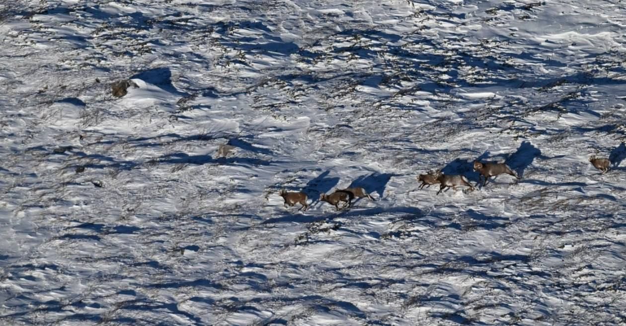 #* Подборка интересных новостей из регионов к этому часу #* Подборка интересных новостей из регионов к этому часу