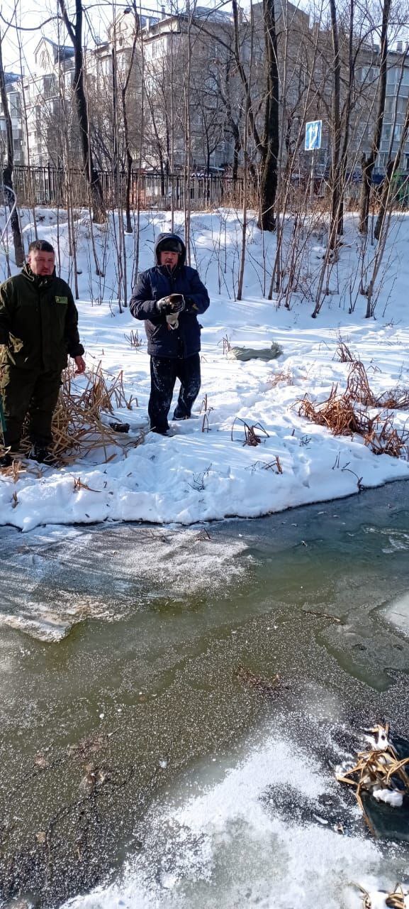 Так и не улетел: экологам удалось спасти птицу, которая не отправилась на юг Так и не улетел: экологам удалось спасти птицу, которая не отправилась на юг