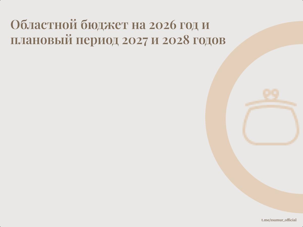 Основное финансирование в 2026 году амурские депутаты направят на социальные нужды