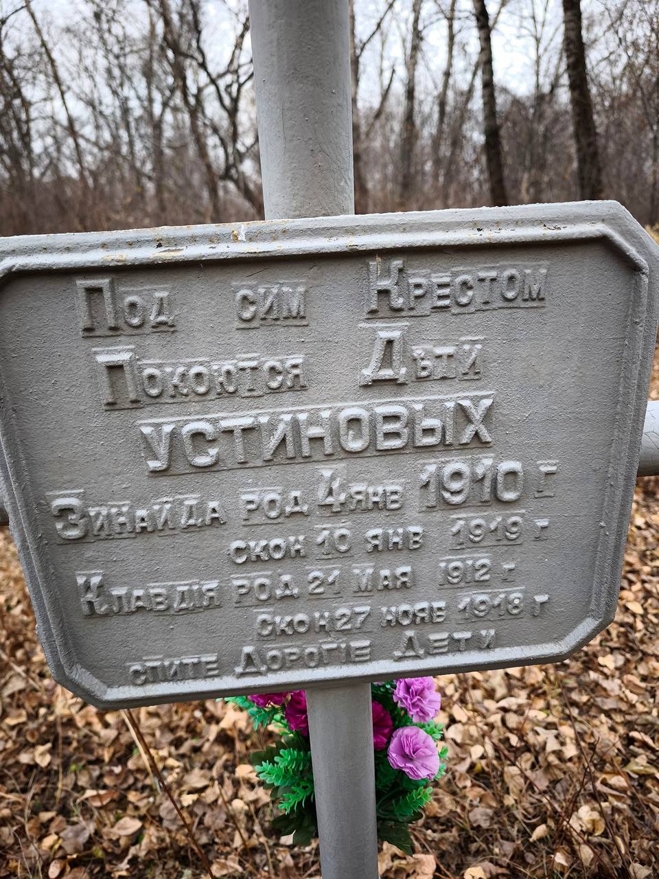 Вызов забвению: волонтеры и родоведы оцифровали тысячи могил в центре Благовещенска Вызов забвению: волонтеры и родоведы оцифровали тысячи могил в центре Благовещенска