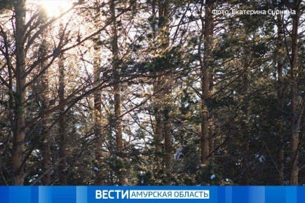 По северным и южным районам пройдёт небольшой, местами умеренный снег