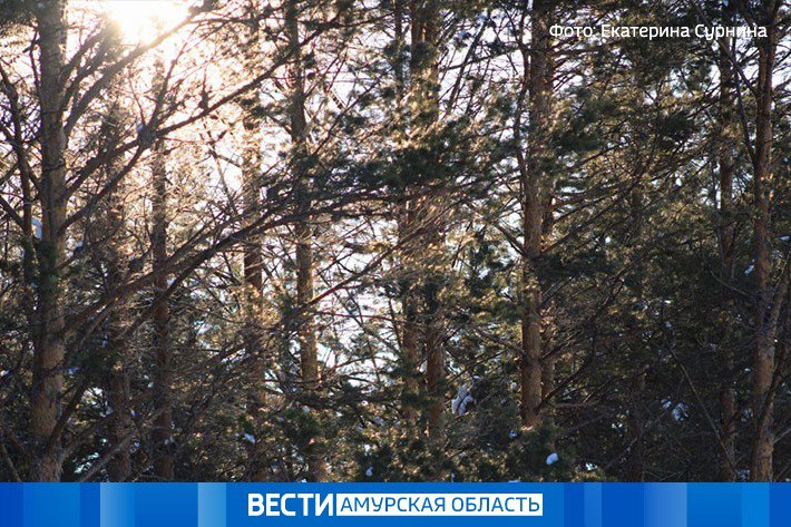 По северным и южным районам пройдёт небольшой, местами умеренный снег