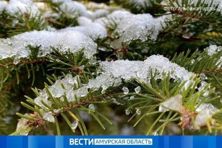 Местами небольшой снег: прогноз погоды на 23 ноября в Приамурье