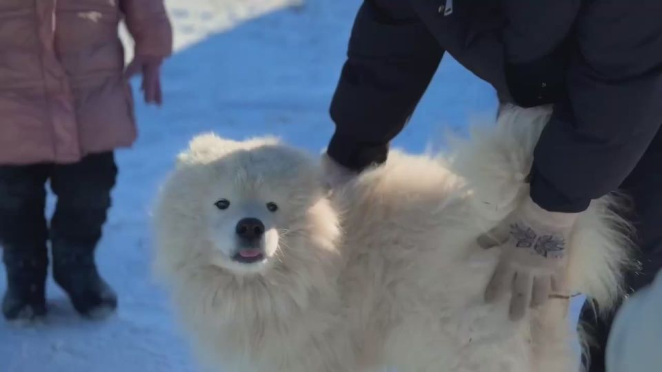  :   -      ,   ,      - 