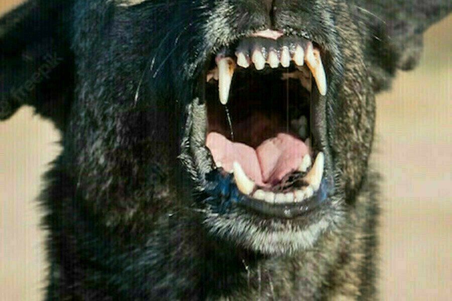       ,    ,              ...