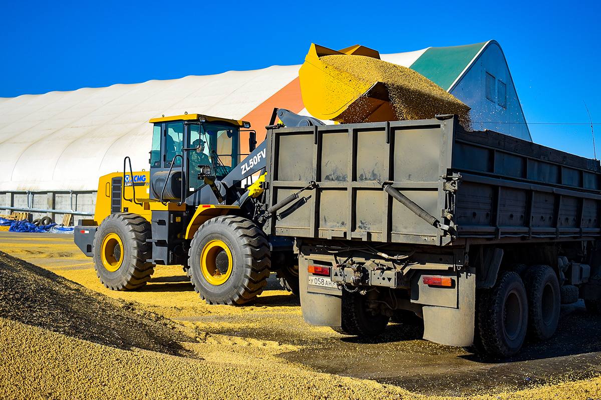 Василий Орлов: «Амурская область получила рекордный урожай сои»