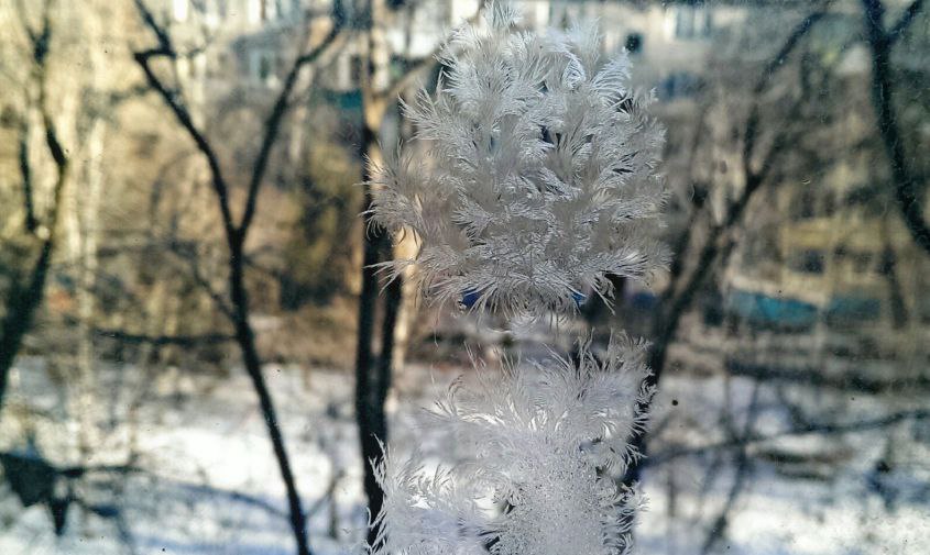 Прогноз погоды в Амурской области на 28 ноября (ПАЗЛ):