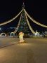 1, 2, 3 - ёлочка, гори!. Главная площадь города продолжает преображаться к празднику