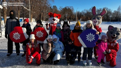 В Благовещенске стартуют работы городских катков