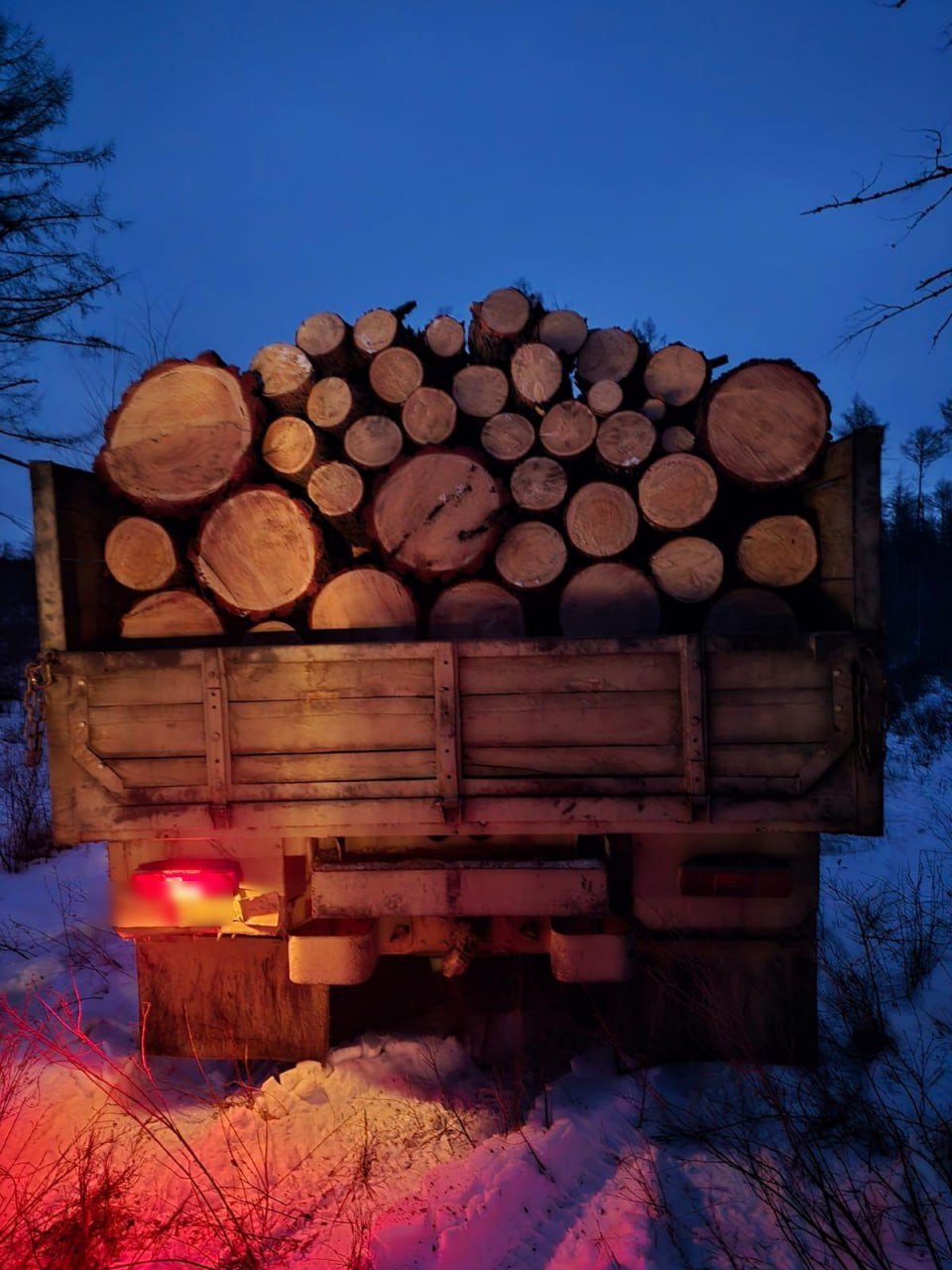 Следователем ОМВД России «Сковородинский» возбуждено уголовное дело по факту незаконной рубки лесных насаждений, совершённой в особо крупном размере Следователем ОМВД России «Сковородинский» возбуждено уголовное дело по факту незаконной рубки лесных насаждений, совершённой в особо крупном размере