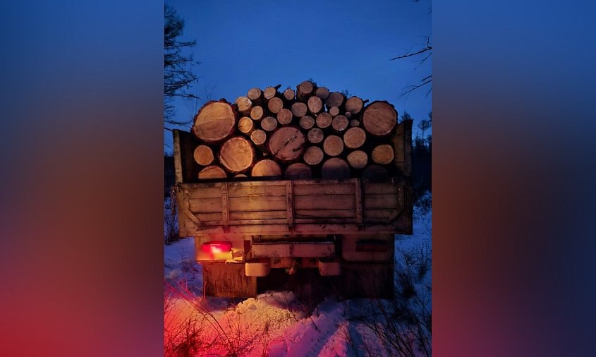 Ущерб 280 000 рублей: амурчанин незаконно срубил деревья