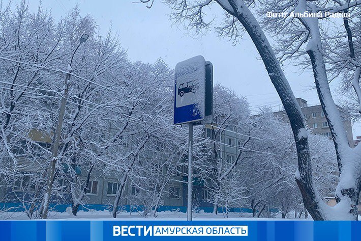 Метель и гололёд: прогноз погоды в Приамурье на 30 ноября