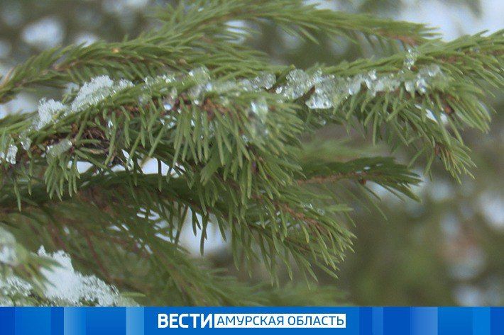 Ночью ожидается небольшой снег, в отдельных районах — умеренный