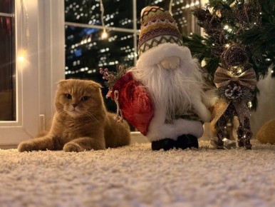  ,   1 !.     @ampravda